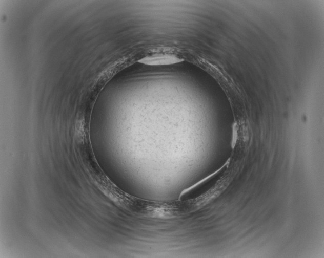 X0000085760564200703301431