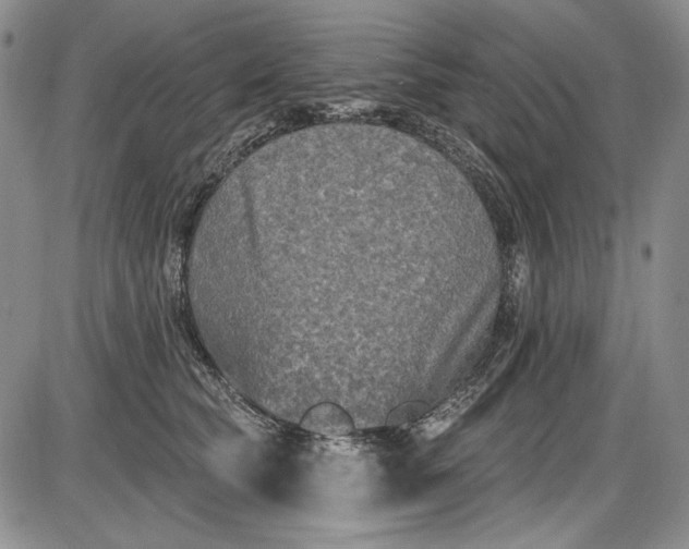 X0000085760565200703301431