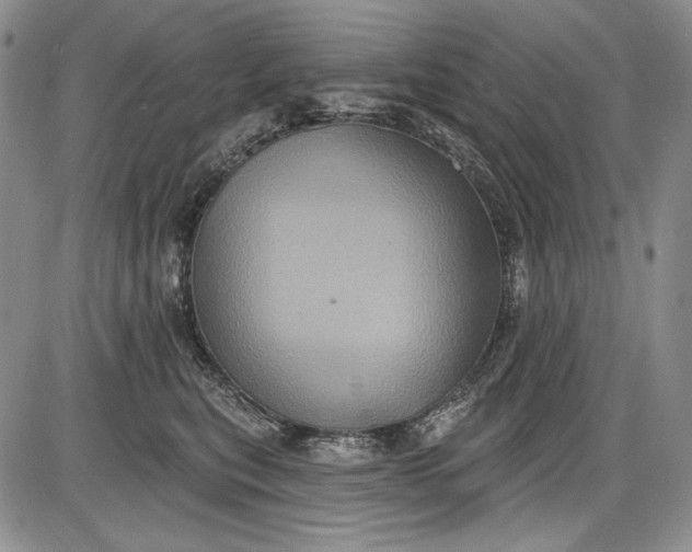 X0000085760567200703301431