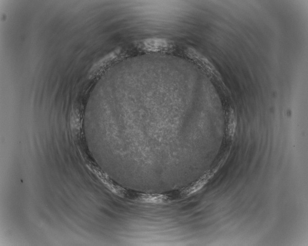X0000085760569200703301431