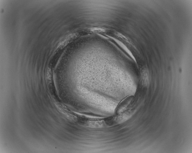 X0000085760571200703301431