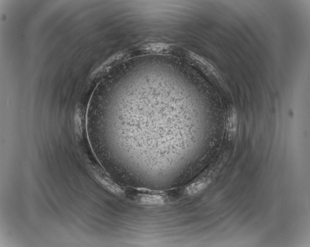 X0000085760572200703301431