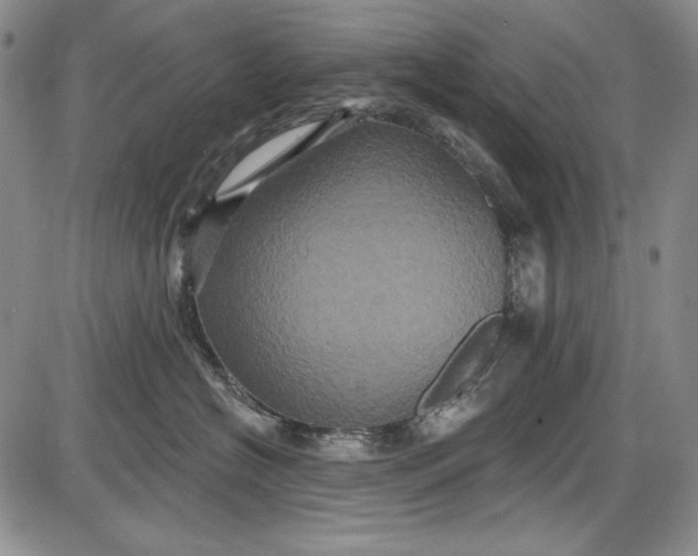 X0000085760574200703301431
