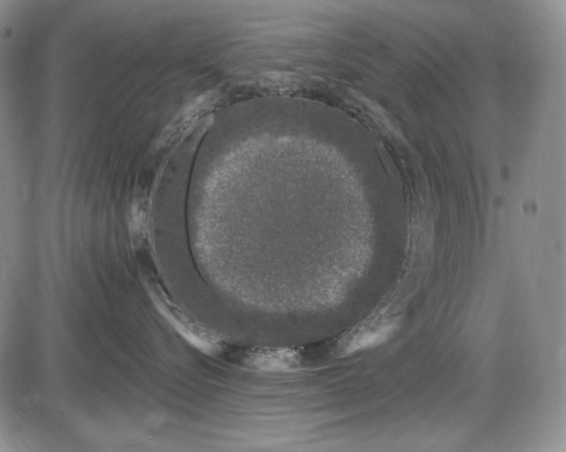 X0000085760576200703301431