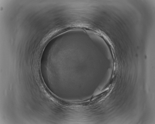 X0000085760577200703301430