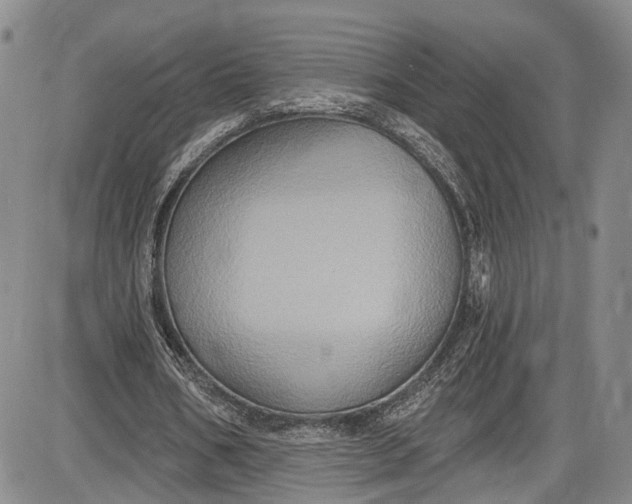 X0000085760578200703301430