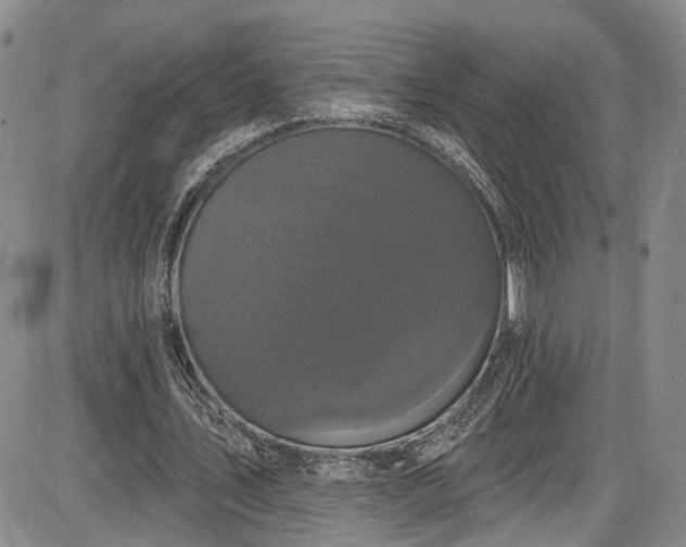X0000085760579200703301430