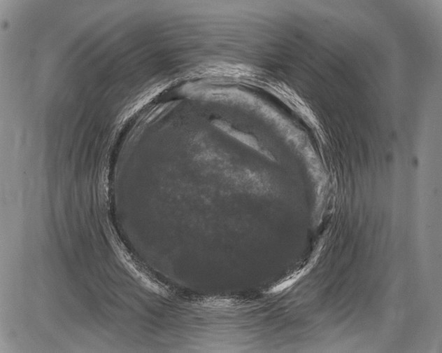 X0000085760581200703301430