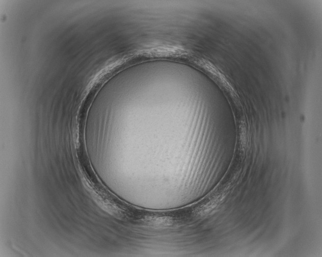 X0000085760582200703301430