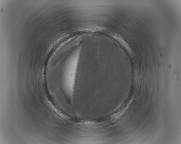 X0000085760585200703301430