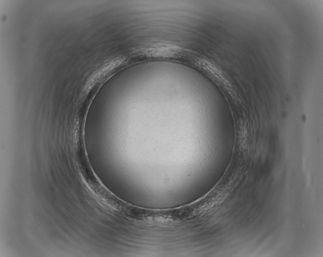 X0000085760586200703301430