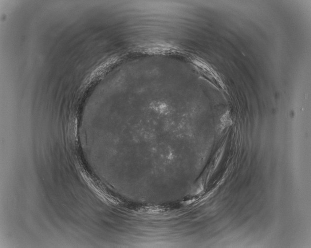 X0000085760589200703301430