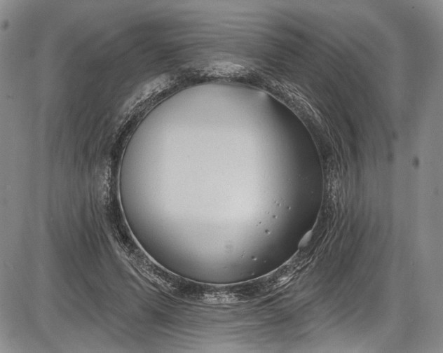 X0000085760591200703301430