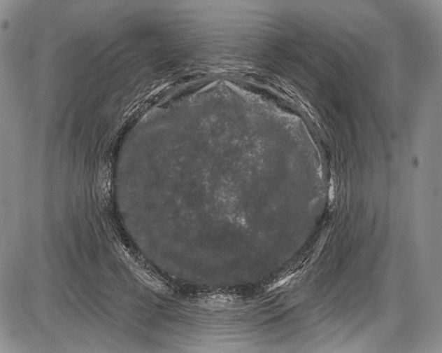 X0000085760593200703301430