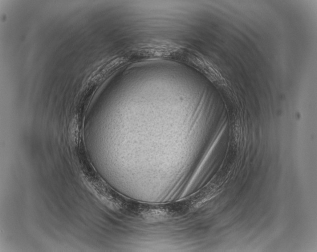 X0000085760594200703301430