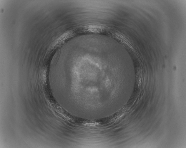 X0000085760595200703301430
