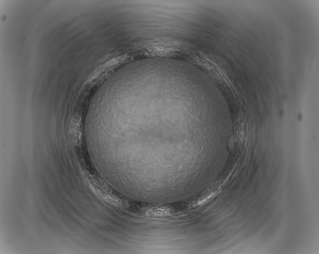 X0000085760599200703301430
