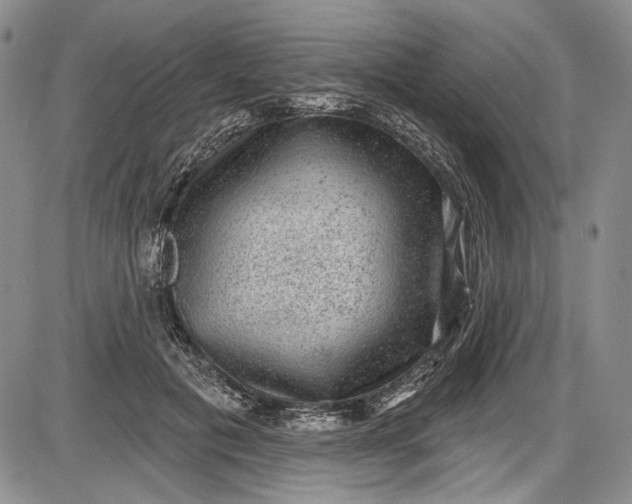 X0000085760601200703301430