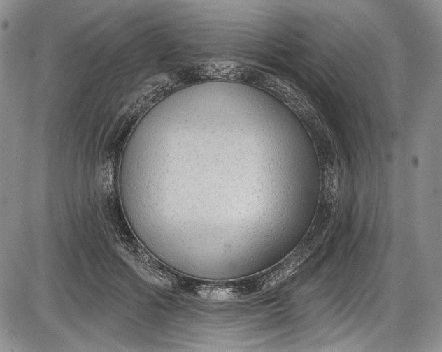 X0000085760602200703301430