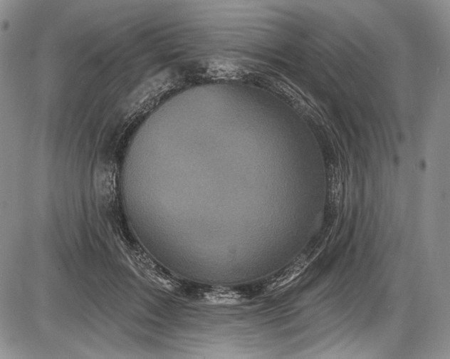 X0000085760603200703301430