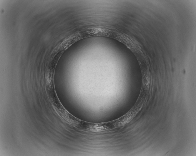 X0000085760607200703301430