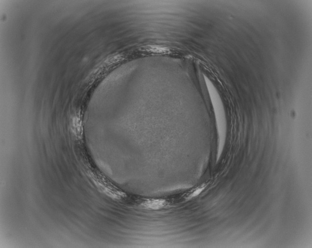 X0000085760609200703301430