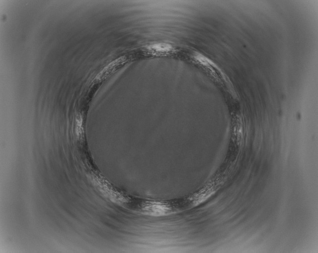 X0000085760610200703301430