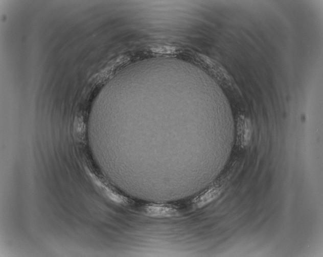 X0000085760614200703301430
