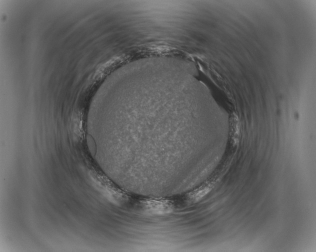 X0000085760615200703301430