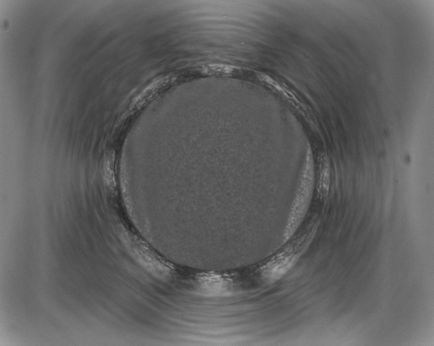 X0000085760616200703301430