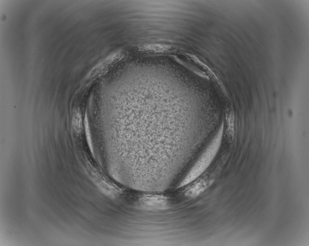 X0000085760617200703301430