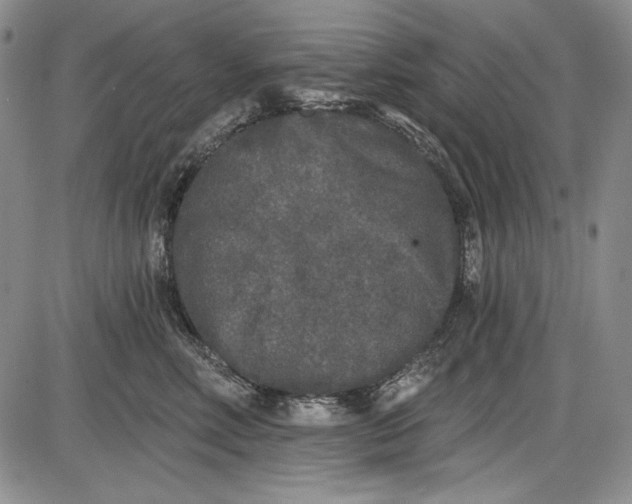X0000085760618200703301430
