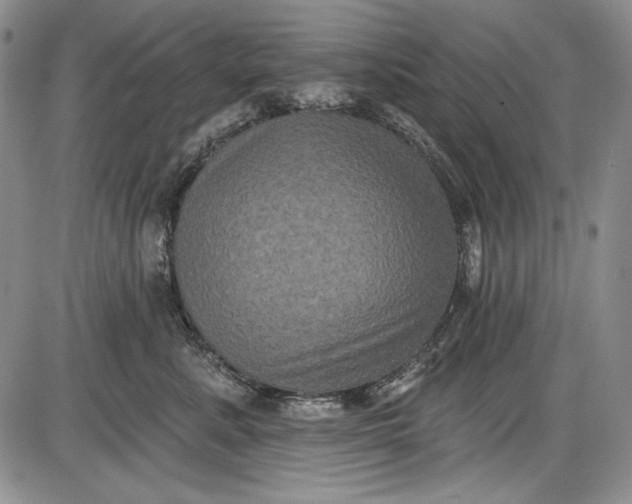 X0000085760619200703301429