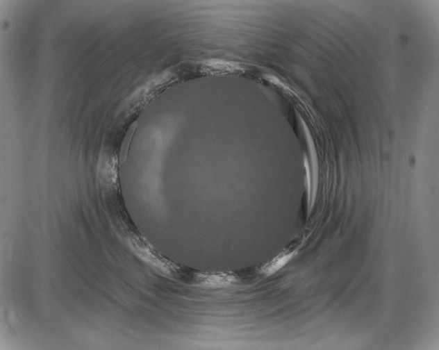 X0000085760621200703301429