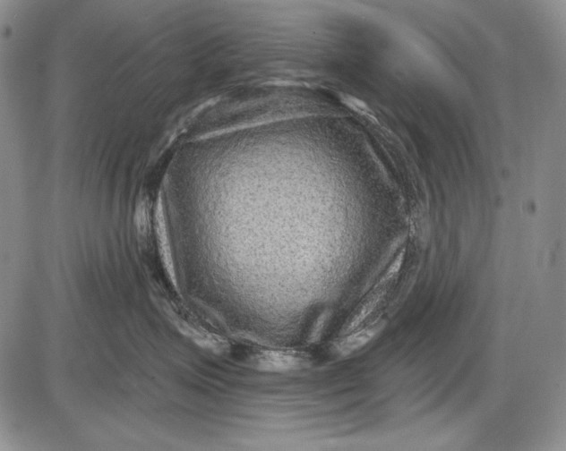 X0000085760623200703301429