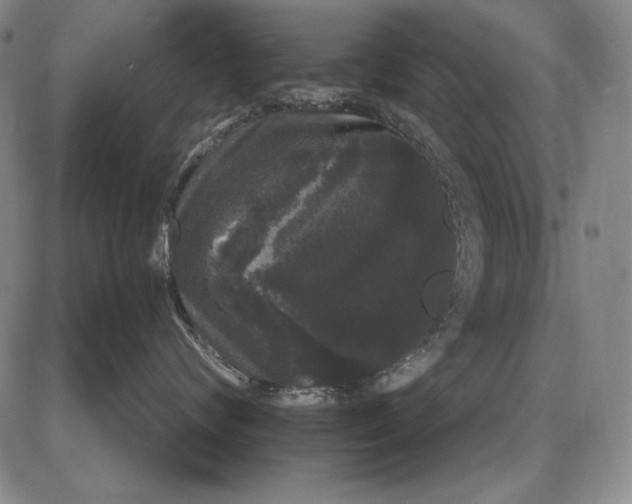 X0000085760624200703301429