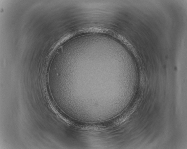 X0000085760625200703301429