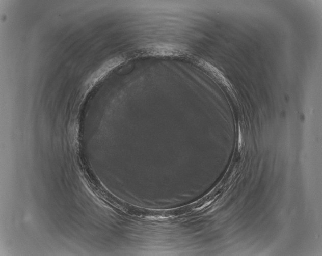 X0000085760627200703301429