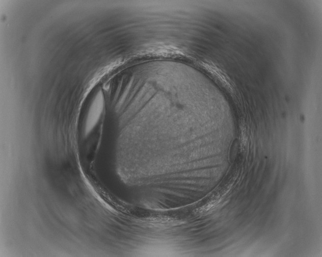 X0000085760630200703301429