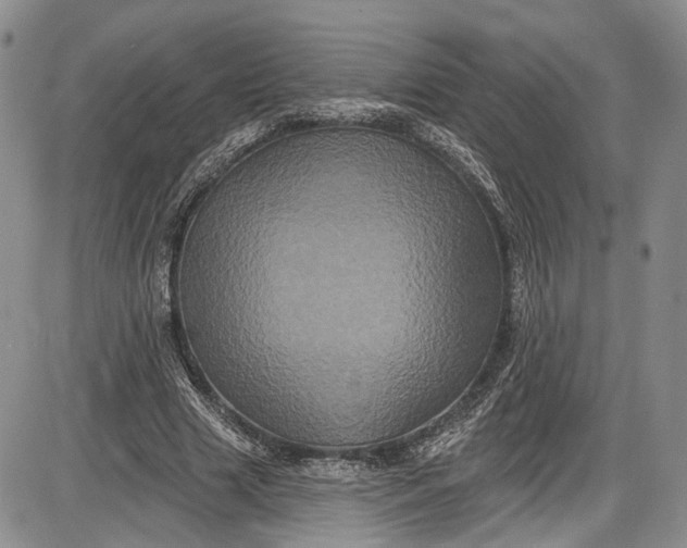 X0000085760633200703301429