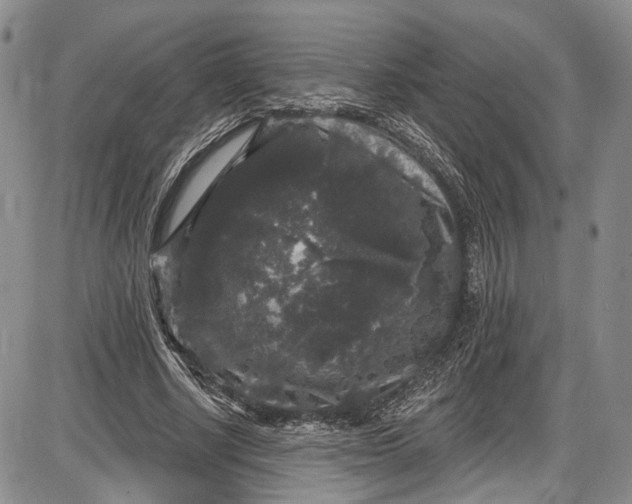 X0000085760634200703301429