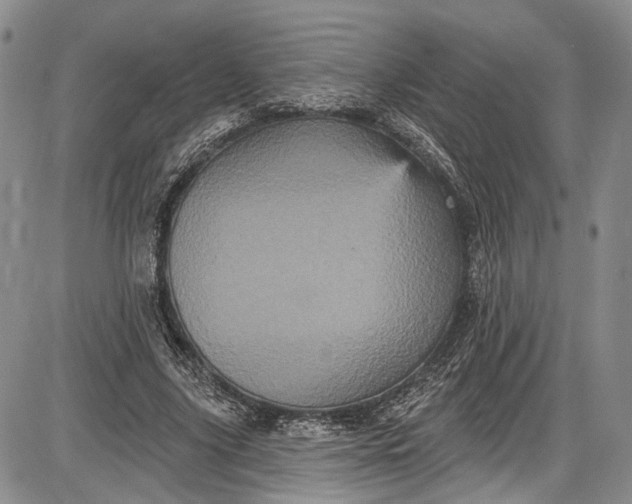 X0000085760635200703301429