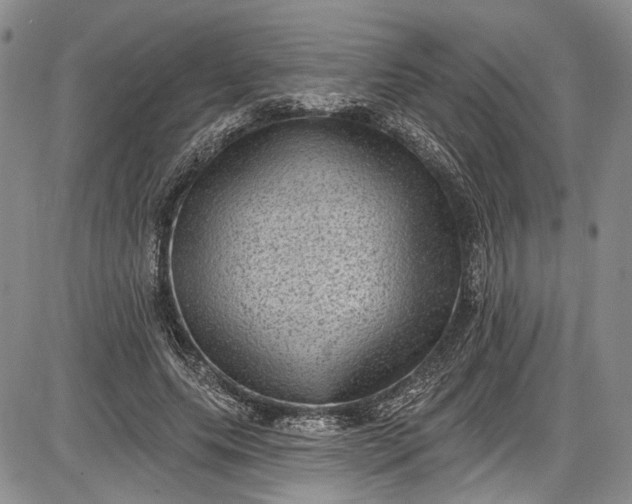 X0000085760639200703301429