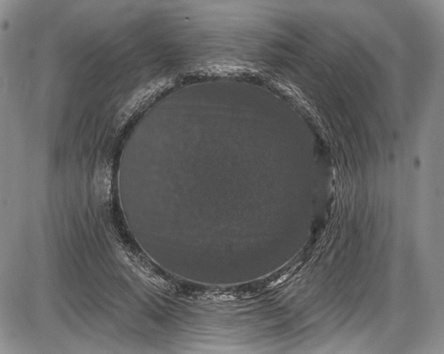 X0000085760640200703301429