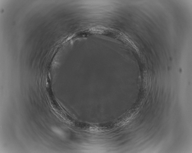 X0000085760641200703301429