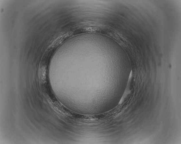 X0000085760646200703301429