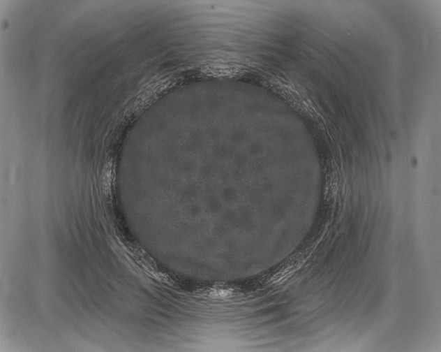 X0000085760647200703301429