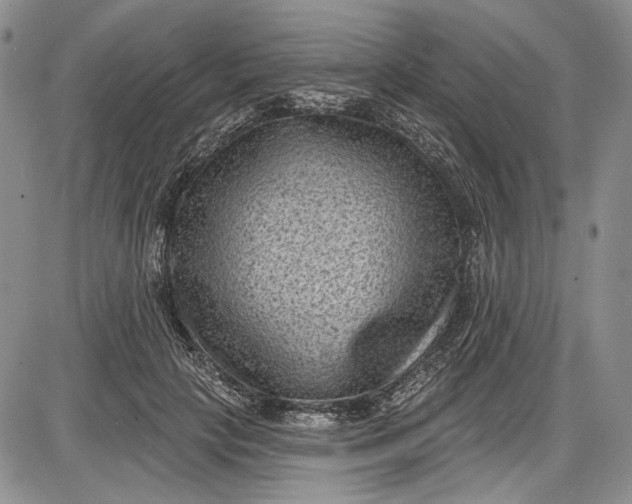 X0000085760649200703301429