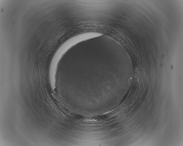 X0000085760650200703301429