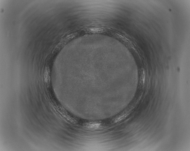 X0000085760651200703301429